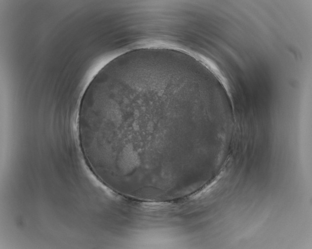 X0000113020863200908271432