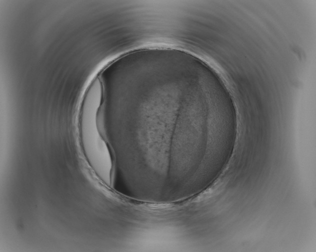 X0000113020864200908271432