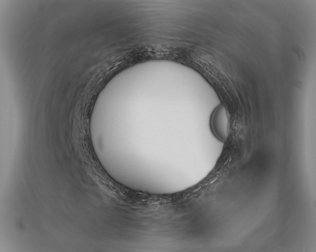 X0000113020865200908271431
