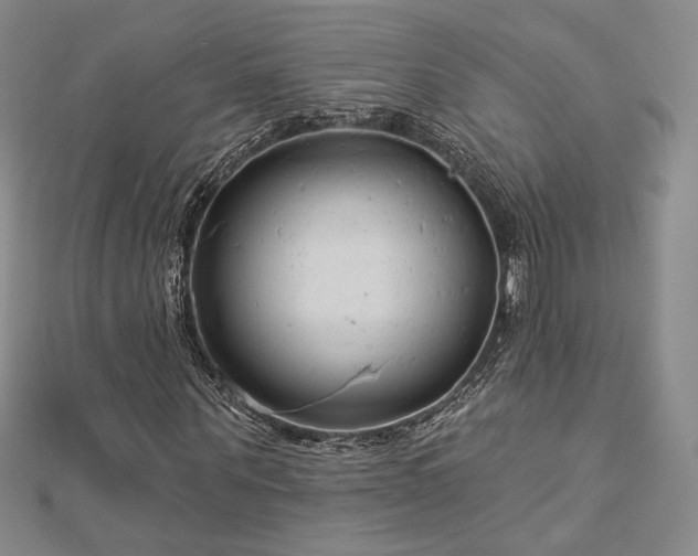 X0000113020867200908271431