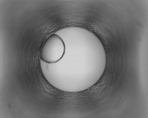 X0000113020868200908271431