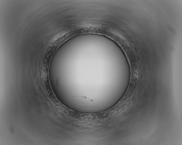 X0000113020869200908271431