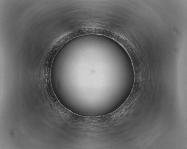 X0000113020870200908271431