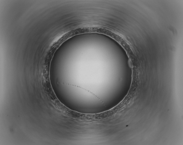 X0000113020871200908271431