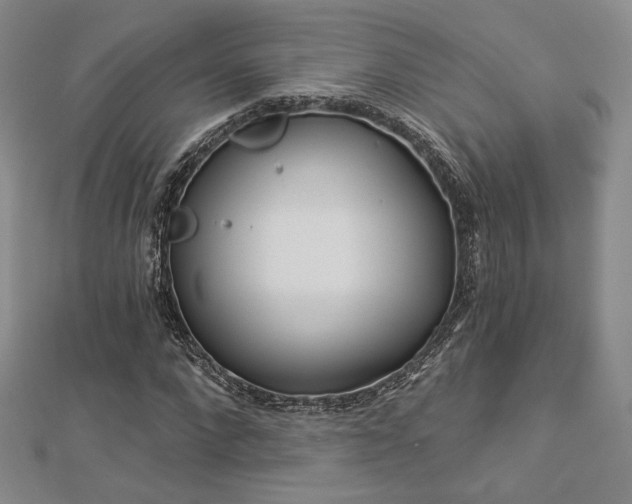 X0000113020872200908271431