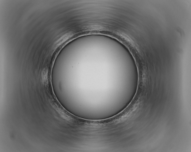 X0000113020873200908271431
