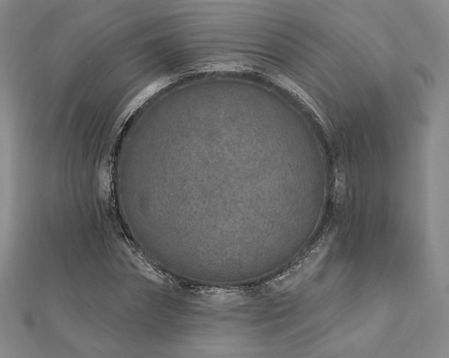 X0000113020874200908271431