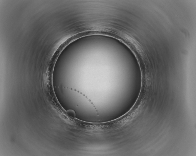 X0000113020875200908271431