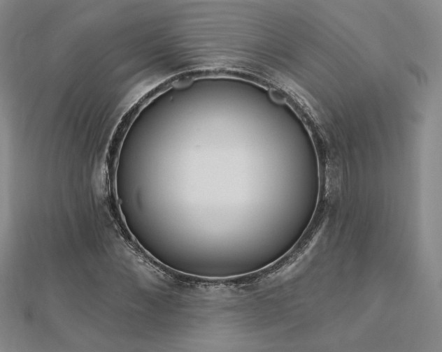 X0000113020876200908271431