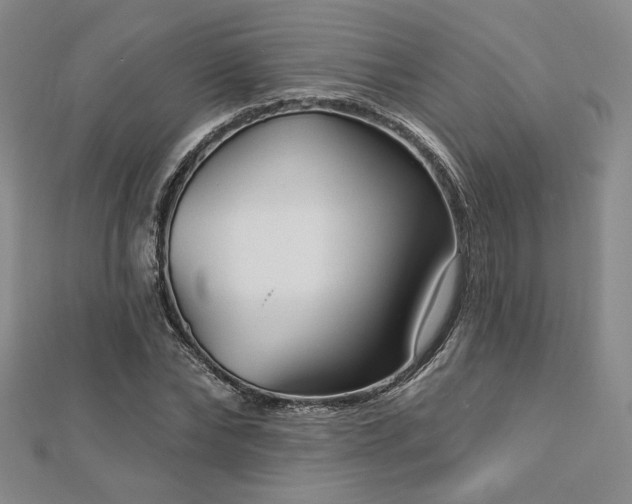 X0000113020878200908271431