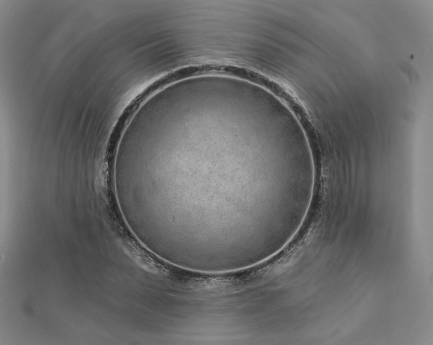 X0000113020879200908271431