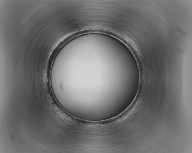 X0000113020880200908271431