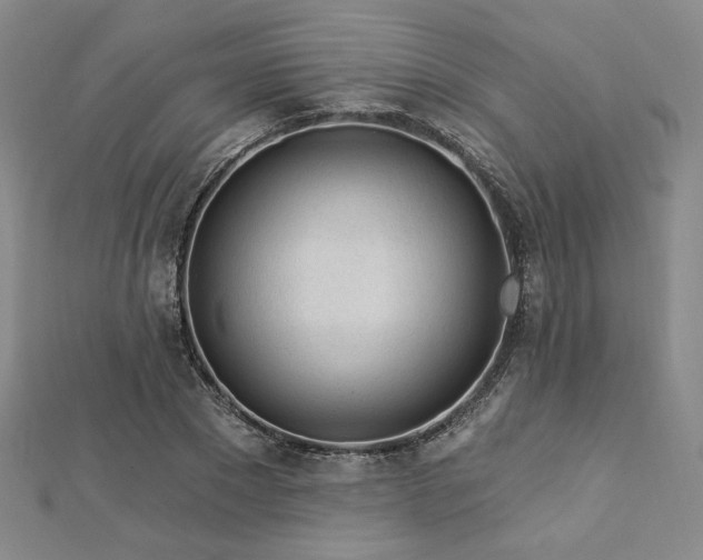 X0000113020881200908271431