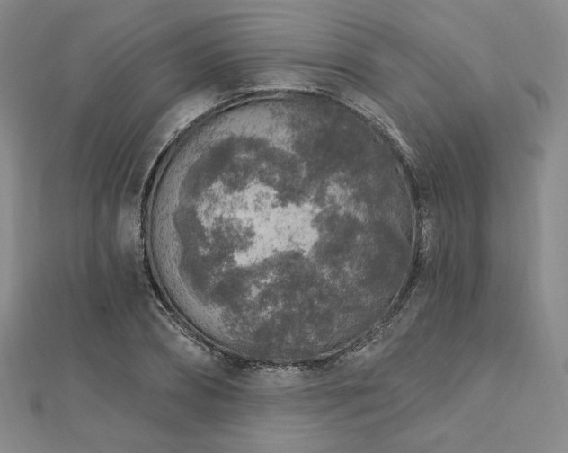 X0000113020882200908271431