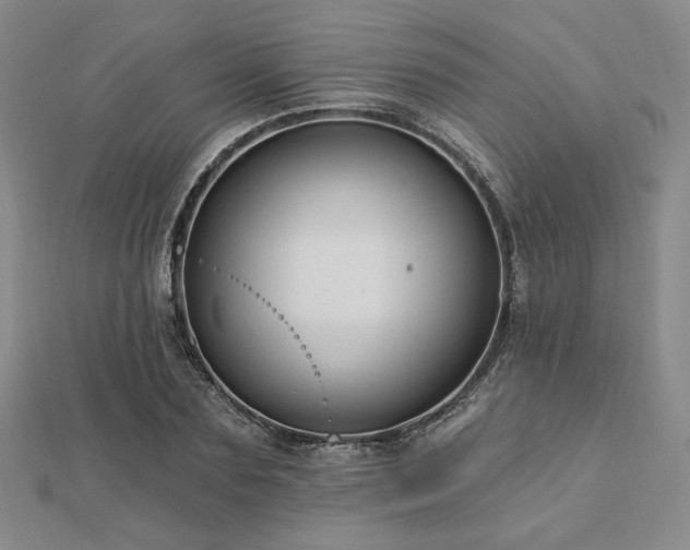 X0000113020883200908271431