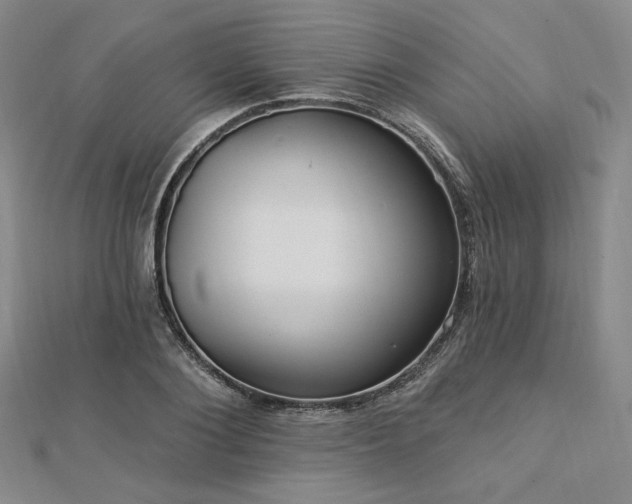 X0000113020884200908271431
