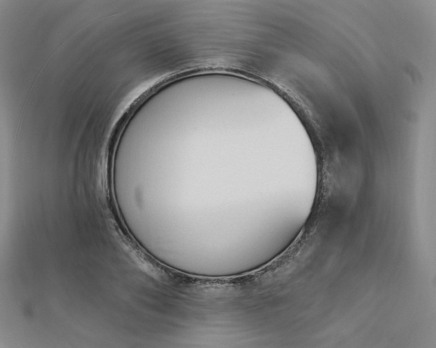 X0000113020886200908271431