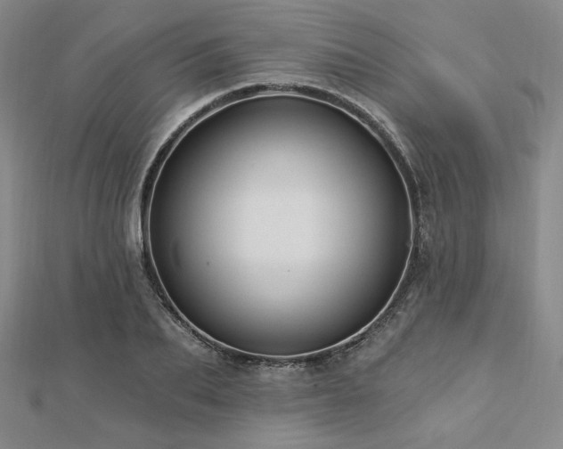 X0000113020887200908271431