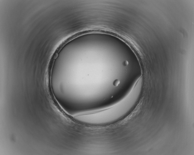X0000113020888200908271431