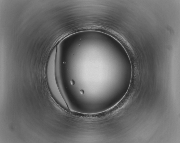 X0000113020889200908271431
