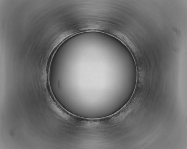X0000113020890200908271431