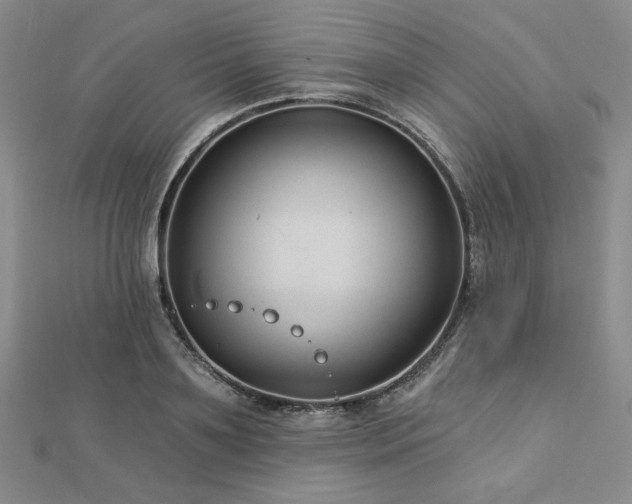 X0000113020891200908271431
