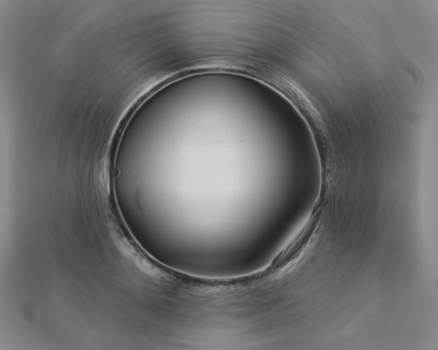 X0000113020892200908271431