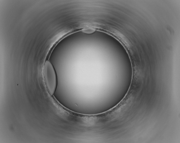 X0000113020893200908271431