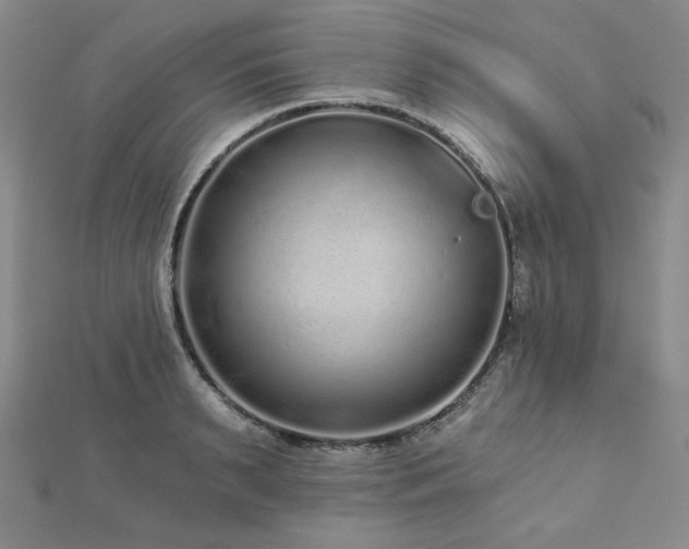 X0000113020895200908271431