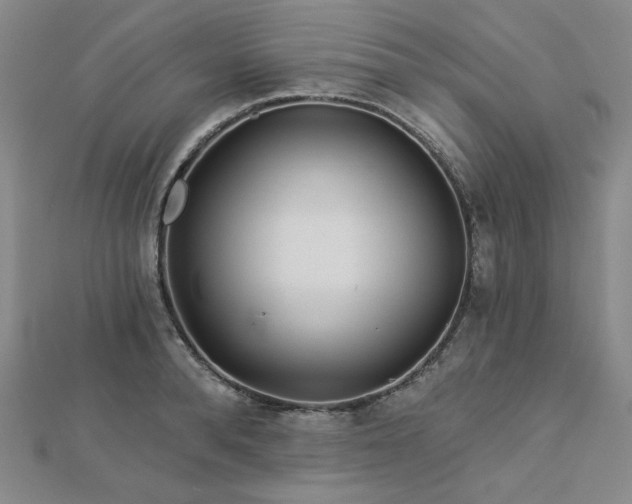 X0000113020896200908271431