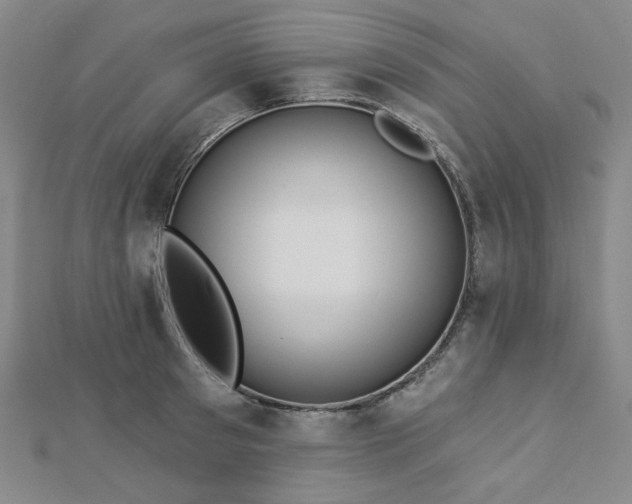 X0000113020897200908271431