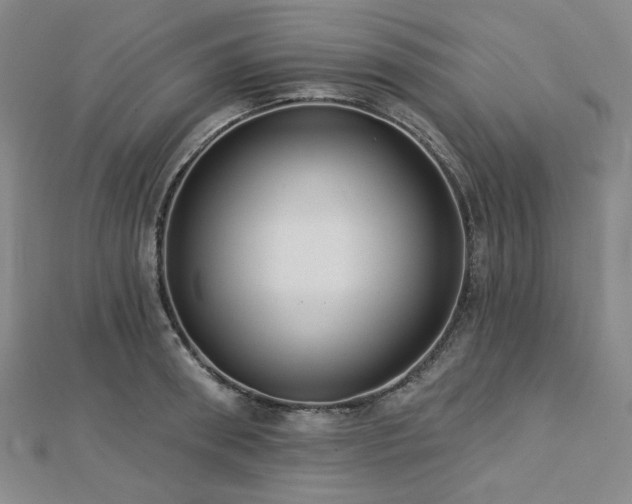 X0000113020898200908271431