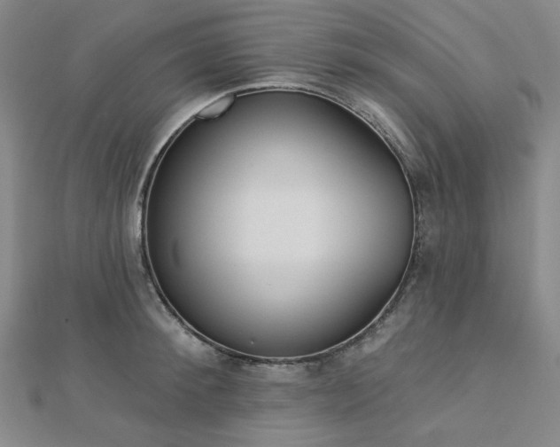 X0000113020900200908271431