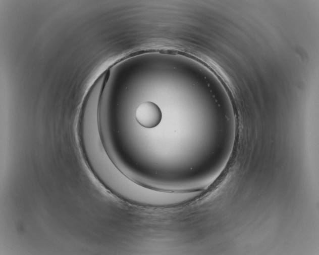 X0000113020901200908271431