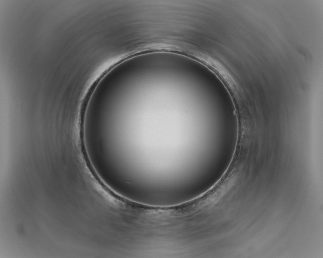 X0000113020902200908271431