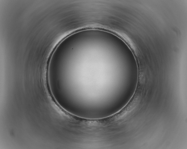 X0000113020903200908271431