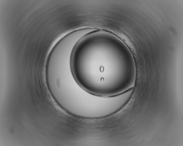 X0000113020904200908271431