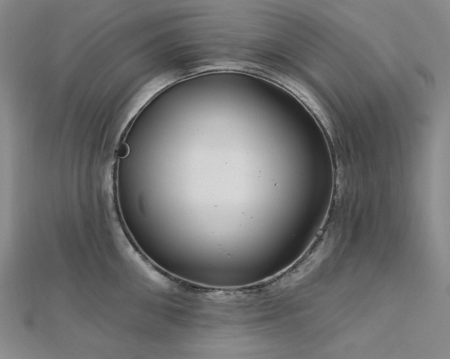X0000113020906200908271431
