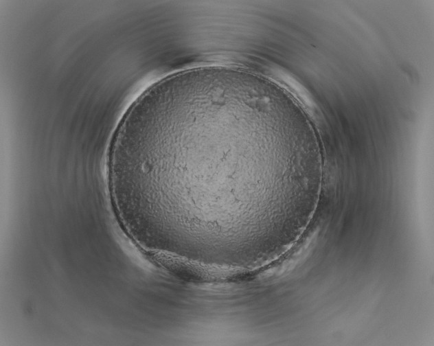 X0000113020907200908271431