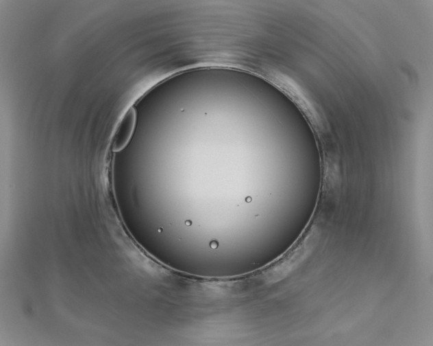 X0000113020908200908271431