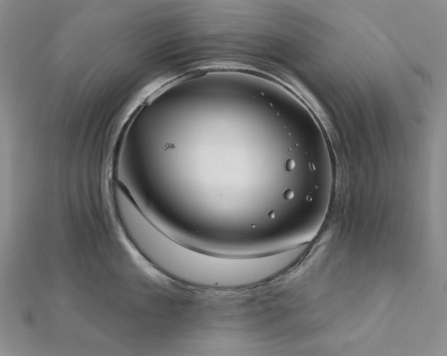 X0000113020909200908271431