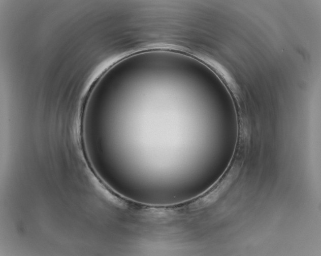 X0000113020910200908271431