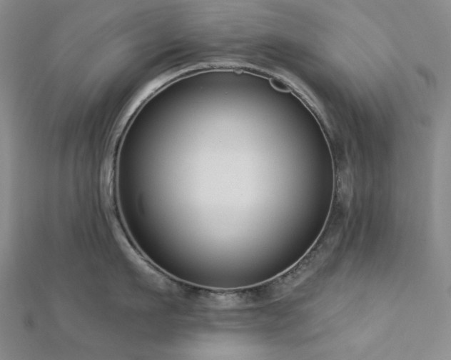 X0000113020911200908271431