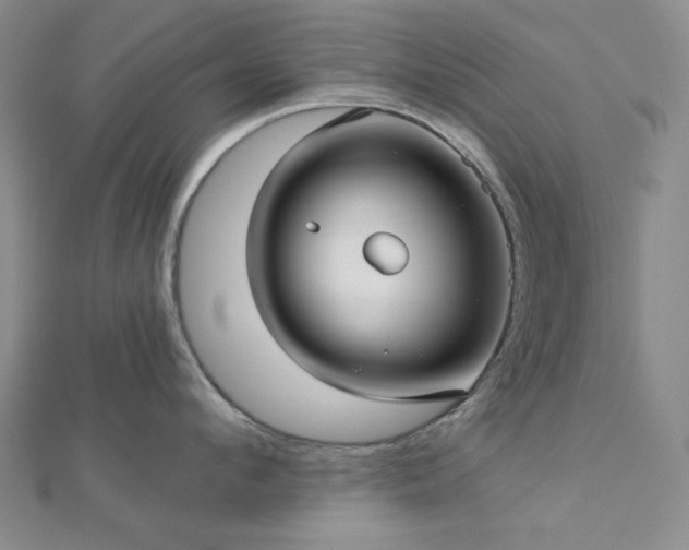 X0000113020912200908271431