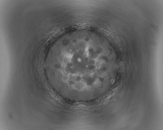 X0000113020913200908271430