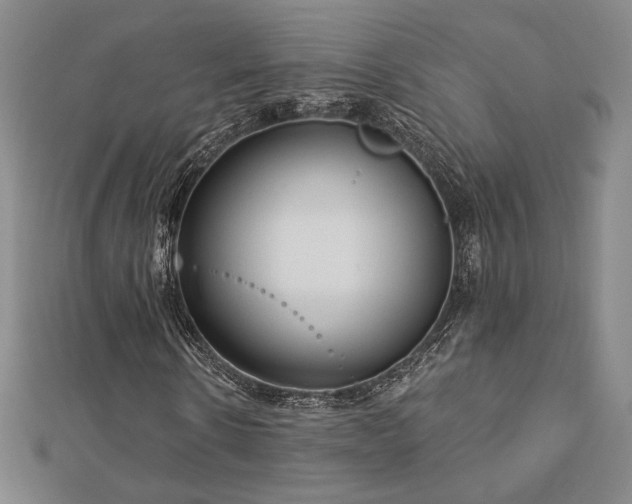 X0000113020914200908271430