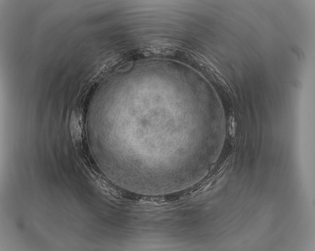 X0000113020915200908271430