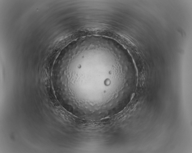 X0000113020917200908271430