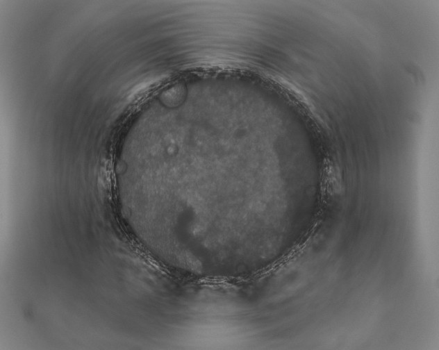 X0000113020918200908271430