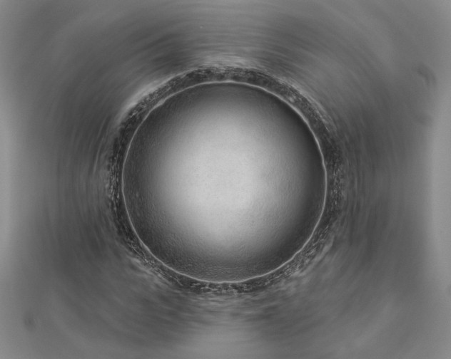 X0000113020919200908271430